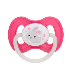 Canpol Smoczek uspokajający silikon 6-18m symetryczny BUNNY&COMPANY