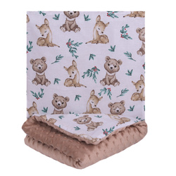 123Baby Pościel minky 2-elementowa kocyk i poduszka 75x55/35x30 cm